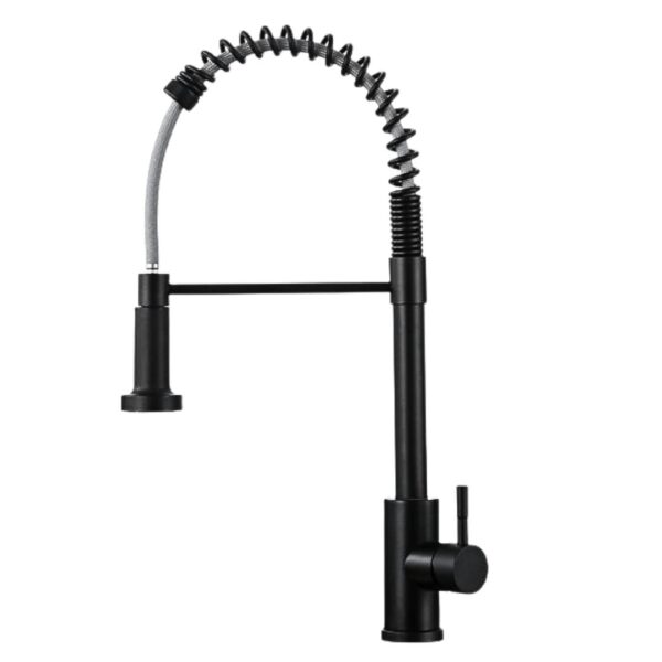 Muett Noir Matte Kitchen Faucet with Pull-Down Sprayer